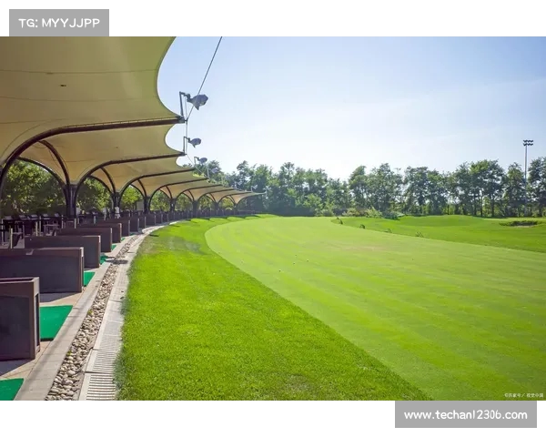 高尔夫球场上的优雅与挑战探索高尔夫运动背后的技巧与魅力