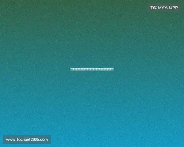 弗兰克：从领导力角度分析孙兴慜的独特作用与球队不可替代性