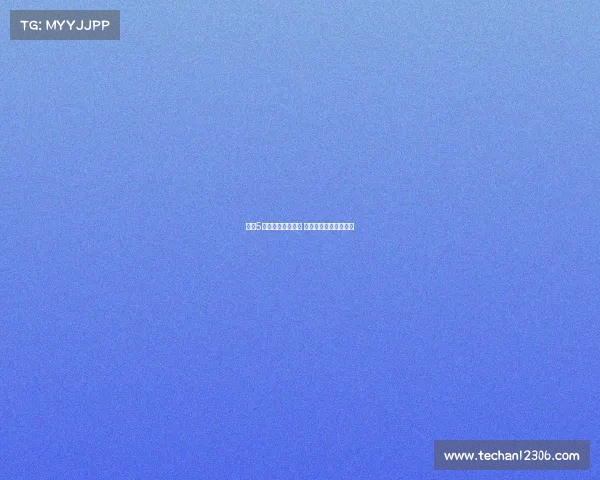 曼城5月起关注多纳鲁马 拜仁预计近期报价争夺 曼城5月起关注多纳鲁马 拜仁预计近期报价争夺